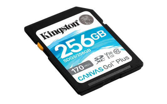 SDG3/256GB - Cartão de memória padrão SD de 256GB Canvas Go Plus (Leitura = 170MB/s) Classe 10 U3 V30